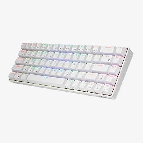 ROYAL KLUDGE RKG68 Hot Swappable Blue Switch And White Wireless Mechanical Gaming Keyboard