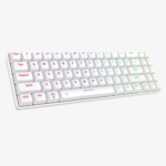 Dareu EK871 GTR RGB Hot Swappable Wireless Blue Switch Mechanical Keyboard